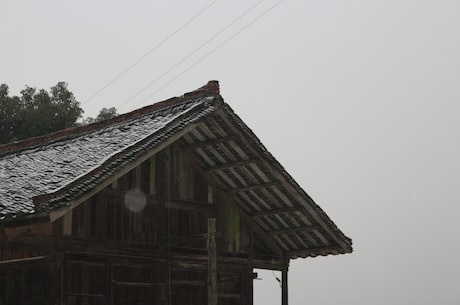 雪中悍刀行红薯(精彩多姿的雪中悍刀行红薯故事)