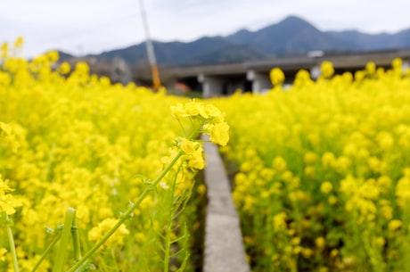 低压螺杆式空压机 每周用手摸一下烘干滤网两侧的温差