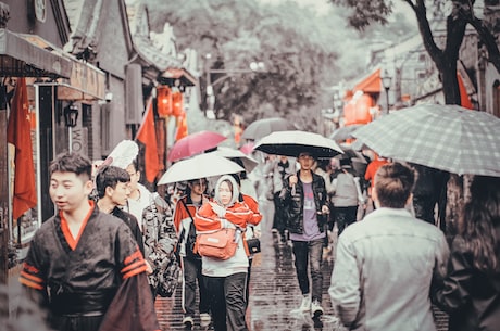 张雨绮出轨(张雨绮出轨的真相揭秘！)