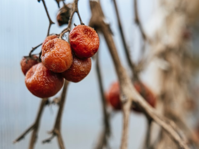 bios密码破解(BIOS密码破解技术)