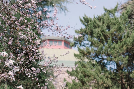 洪荒之鲲鹏至尊 学得完整版鲲鹏宝术朱厌出现后