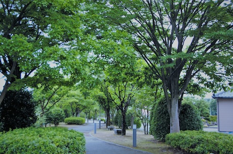 夏侯惇夏侯渊(夏侯惇夏侯渊：三国时期蜀国名将)