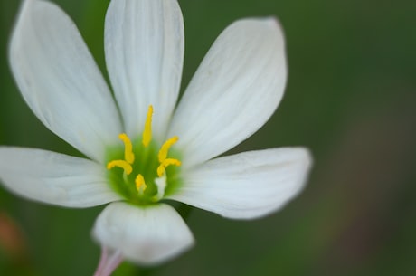 柳永蝶恋花(诗词佳作：柳永蝶恋花)