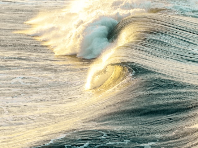 海一家(海一家获得最佳海鲜餐厅奖)