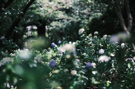 花脸稿(花脸稿：让人忍俊不禁的搞笑表情)