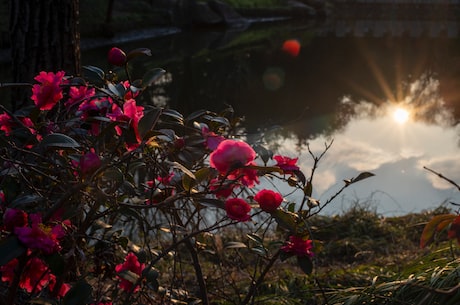 贵阳市花溪区(贵阳市花溪区：天下第二洞，仙女山奇景)