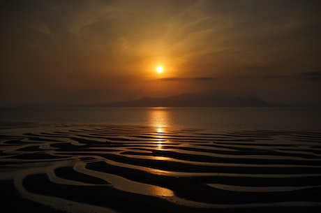 小海棠情感神秘园(小海棠情感神秘园——浪漫情侣的胜地)