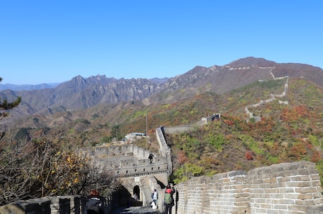 北京烤肉自助(【北京烤肉自助】樱花季节吃货聚集地，尽情品尝美味！)