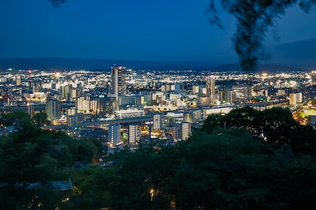 雷区(雷区！如何避免步步危机？)